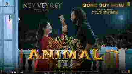 Ney Veyrey Lyrics – Animal (Telugu)