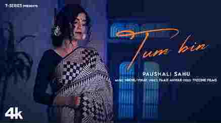 Tum Bin Lyrics (तुम बिन Lyrics) - Paushali Sahu | Nikhil-Vinay