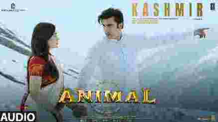 कश्मीर Kashmir Lyrics (Animal) - Shreya Ghoshal | Manan Bhardwaj