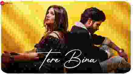 तेरे बिना Tere Bina Lyrics - Salman Ali | Muskaan