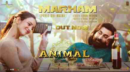 Marham Lyrics- Animal