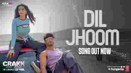 Dil Jhoom Lyrics Translation In English - Crakk