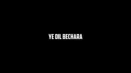 Ye Dil Bechara Lyrics - MC Insane | From The Heal Album